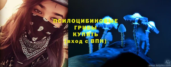 первитин Белокуриха