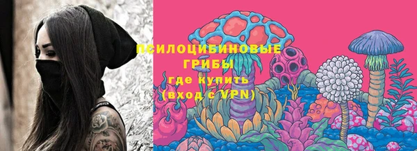 первитин Белокуриха