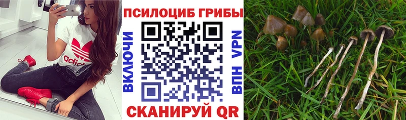 Галлюциногенные грибы мицелий  Волчанск 